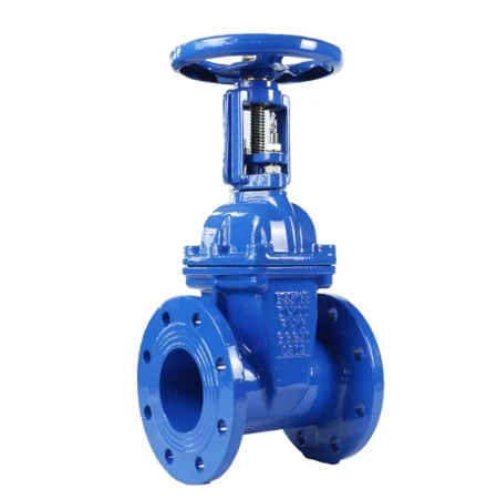Rising Stem Resilient Seated Gate Valve Z41X-10Q