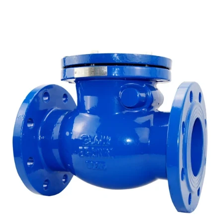 Check Valves